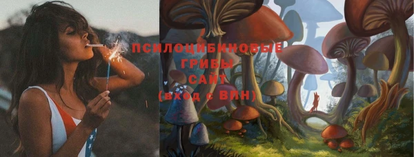 бошки Белокуриха