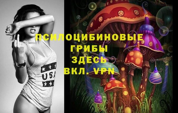 мяу мяу мука Беломорск