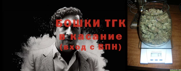тгк Каменка